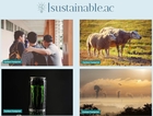 Transform Your Life: Sustainable Choices for a Greener World