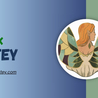 The Ultimate Deal On QUICKRATEY