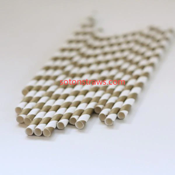  Soton's Responsible Paper Straws Manufactory