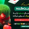 Sibbet The Rise of a Digital Phenomenon Bridging Community and Technology