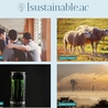 Integrating Sustainability into Your Operations: Best Practices for Minimizing Your Carbon Footprint