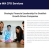 Streamline Your Finances with Seattle\u2019s Premier CFO Services