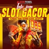 Alexistogel A Comprehensive Look at the Online Togel Platform